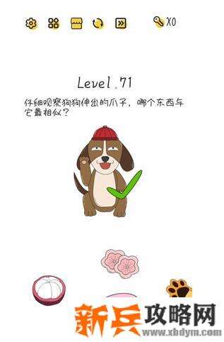超级大脑SuperBrain第71关【仔细观察狗狗伸出的爪子哪个东西与它最相似】答案攻略
