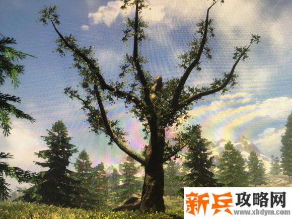 生存边缘《Subsistence》新手攻略