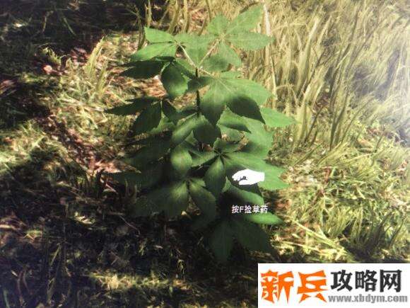 生存边缘《Subsistence》新手攻略