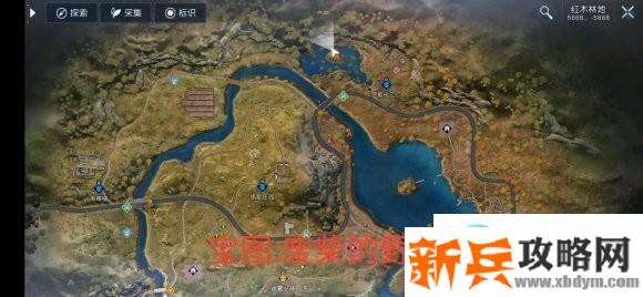 黎明觉醒宝图在哪？