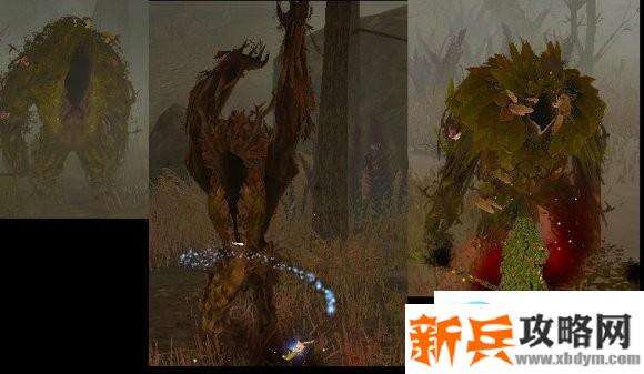 黑色沙漠《BlackDesert》刷红蓝水攻略