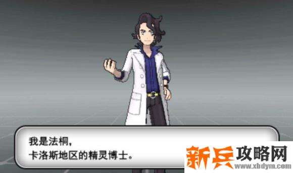 3DS《口袋妖怪XY》图文攻略