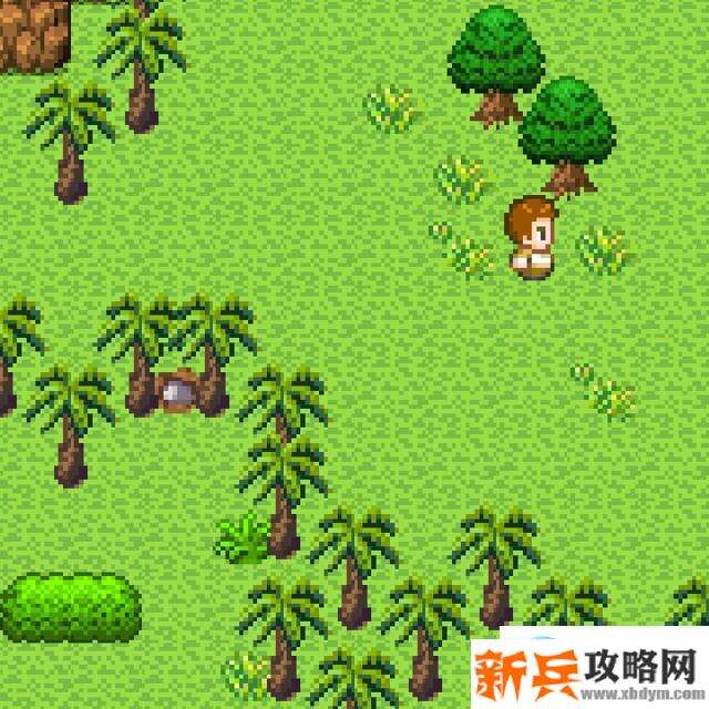 无人岛大冒险《SurvivalIsland》图文通关攻略