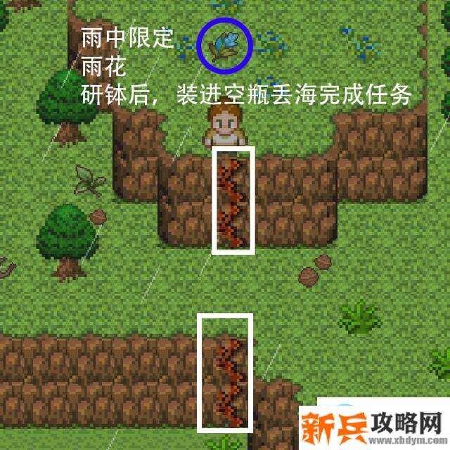 无人岛大冒险《SurvivalIsland》图文通关攻略