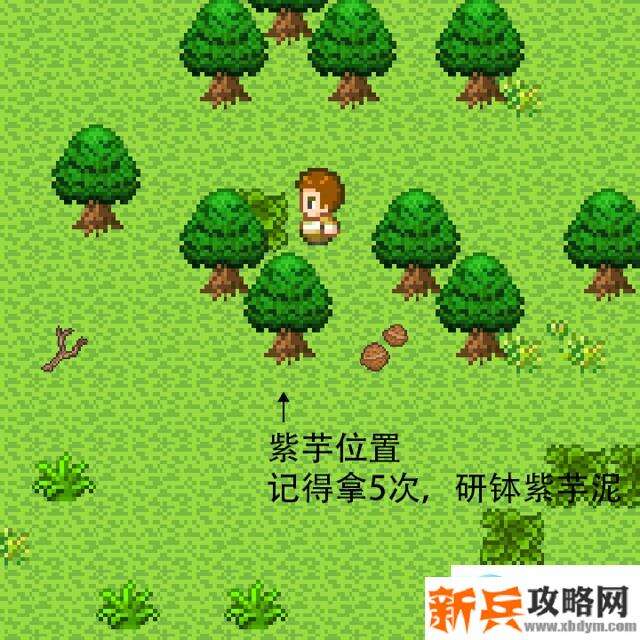 无人岛大冒险《SurvivalIsland》图文通关攻略