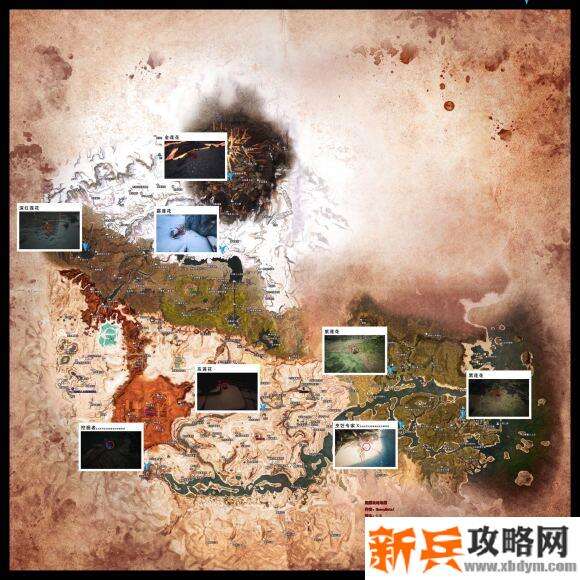 流放者柯南《conanexiles》紫莲花在哪？