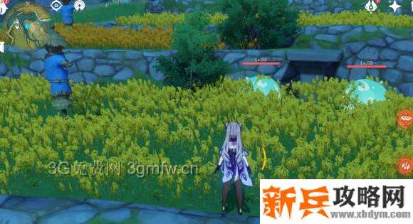 原神《Project》特殊解谜隐藏宝箱收集攻略