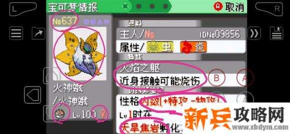 口袋妖怪究极绿宝石4孵蛋攻略