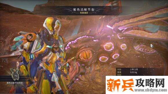 星际战甲《Warframe》紫色迅敏节虫获取攻略