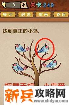 最强的大脑第249关【找到真正的小鸟】答案攻略