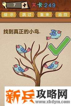最强的大脑第249关【找到真正的小鸟】答案攻略