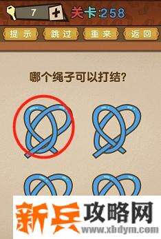 最强的大脑第258关【哪个绳子可以打结】答案攻略