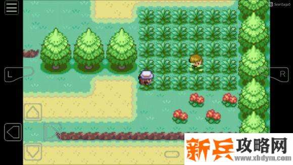 口袋妖怪叶绿386神兽捕捉地点图文捉攻略