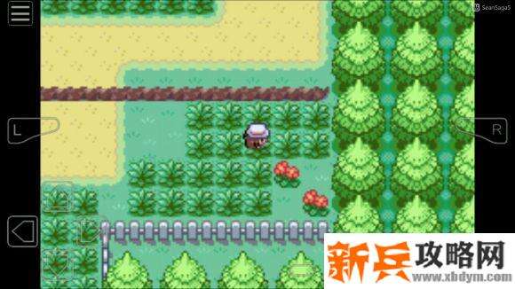 口袋妖怪叶绿386神兽捕捉地点图文捉攻略