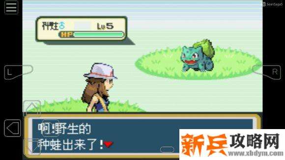 口袋妖怪叶绿386神兽捕捉地点图文捉攻略