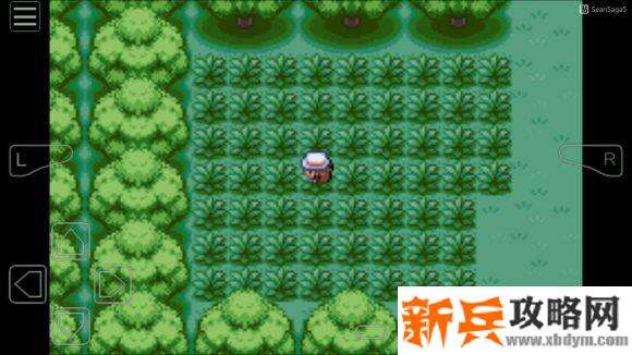 口袋妖怪叶绿386神兽捕捉地点图文捉攻略