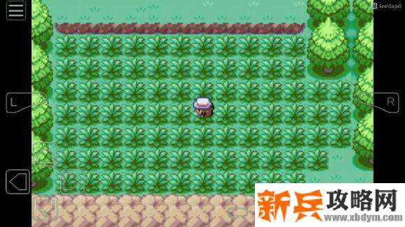 口袋妖怪叶绿386神兽捕捉地点图文捉攻略