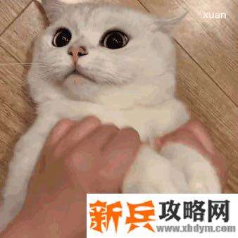 天谕手游水母之梦任务攻略