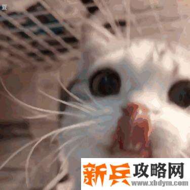 天谕手游水母之梦任务攻略