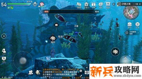 天谕手游水母之梦任务攻略