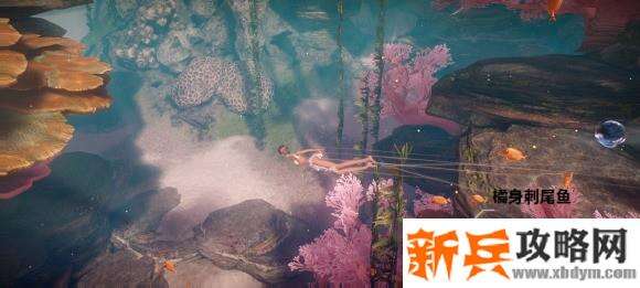 天谕手游鱼类图鉴解锁攻略