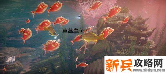 天谕手游鱼类图鉴解锁攻略