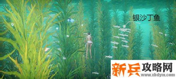 天谕手游鱼类图鉴解锁攻略
