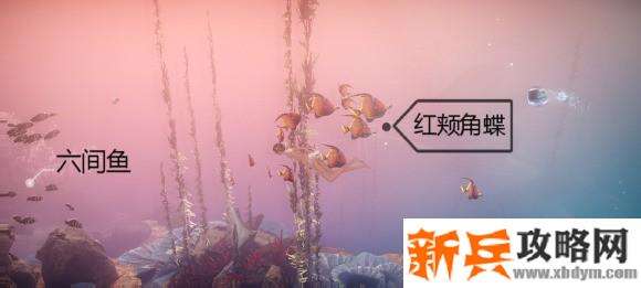 天谕手游鱼类图鉴解锁攻略