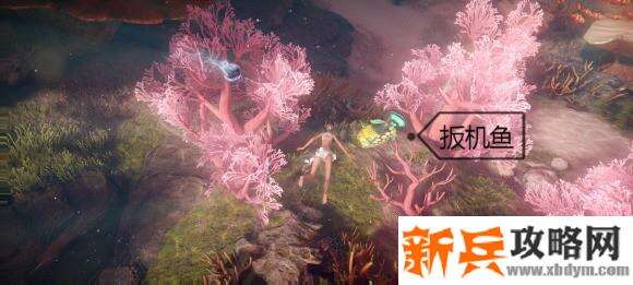 天谕手游鱼类图鉴解锁攻略