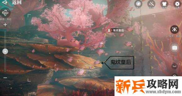 天谕手游鱼类图鉴解锁攻略