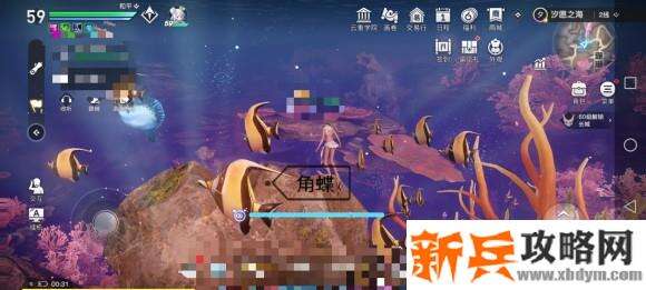 天谕手游鱼类图鉴解锁攻略