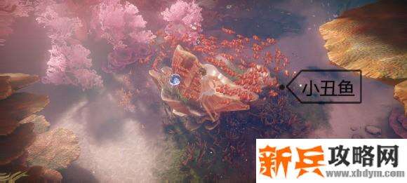 天谕手游鱼类图鉴解锁攻略