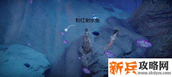 天谕手游鱼类图鉴解锁攻略