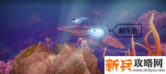 天谕手游鱼类图鉴解锁攻略