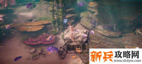 天谕手游鱼类图鉴解锁攻略