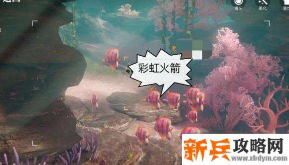 天谕手游鱼类图鉴解锁攻略