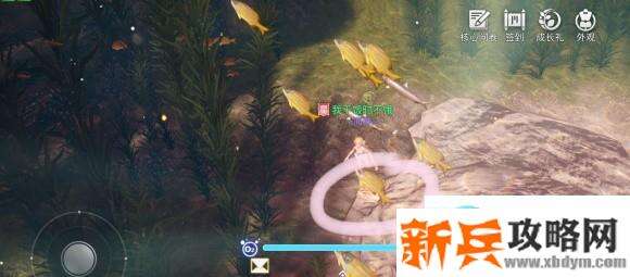 天谕手游汐愿之海珍珠蚌坐标位置