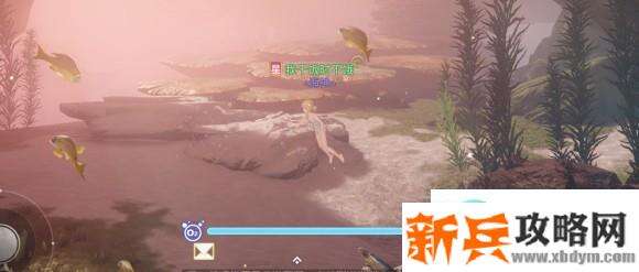 天谕手游汐愿之海珍珠蚌坐标位置