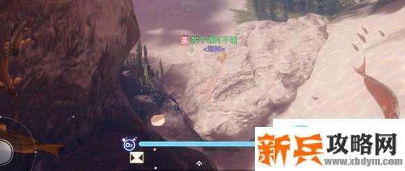 天谕手游汐愿之海珍珠蚌坐标位置