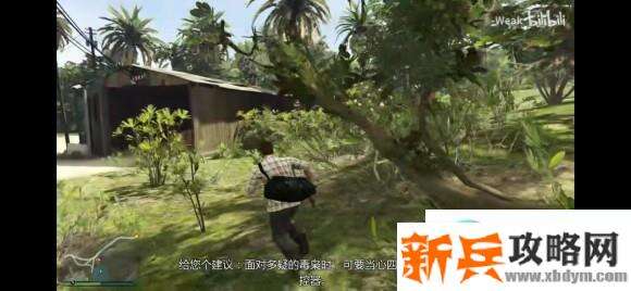 侠盗猎车手5《GTA5》佩里科岛单人潜入攻略