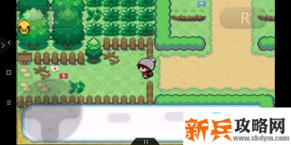 口袋妖怪剑盾gba图文攻略