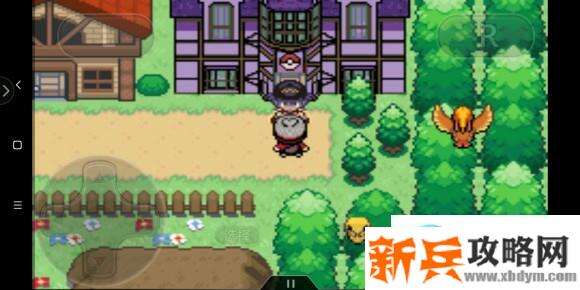 口袋妖怪剑盾gba图文攻略