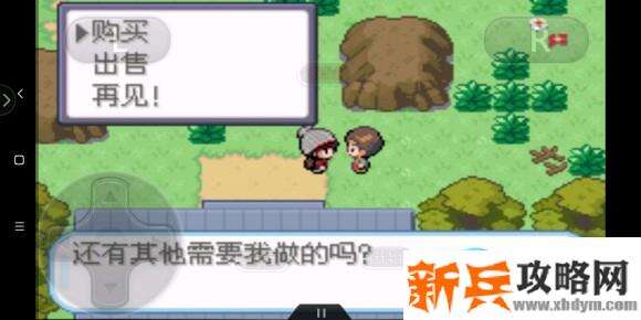 口袋妖怪剑盾gba图文攻略