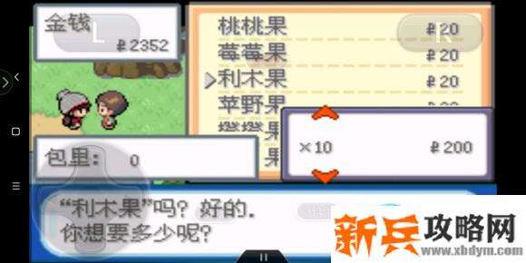 口袋妖怪剑盾gba图文攻略