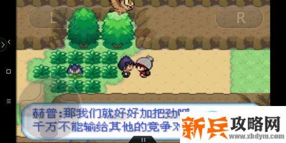 口袋妖怪剑盾gba图文攻略