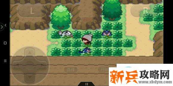 口袋妖怪剑盾gba图文攻略