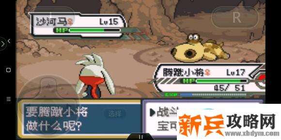 口袋妖怪剑盾gba图文攻略