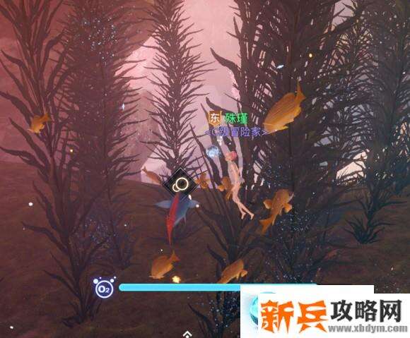 天谕手游第一章汐愿之海冒险藏品攻略