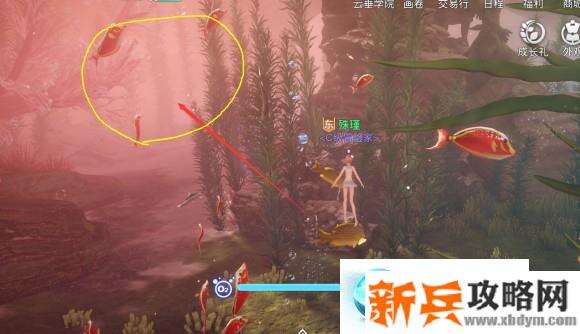 天谕手游第一章汐愿之海冒险藏品攻略