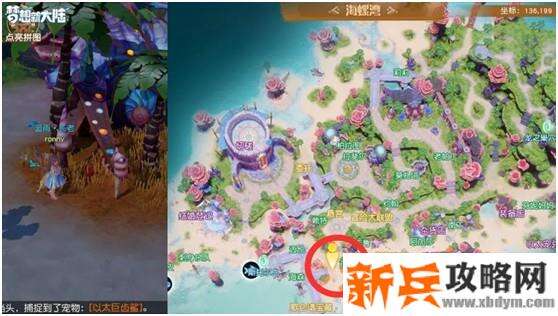 梦想新大陆奇遇攻略